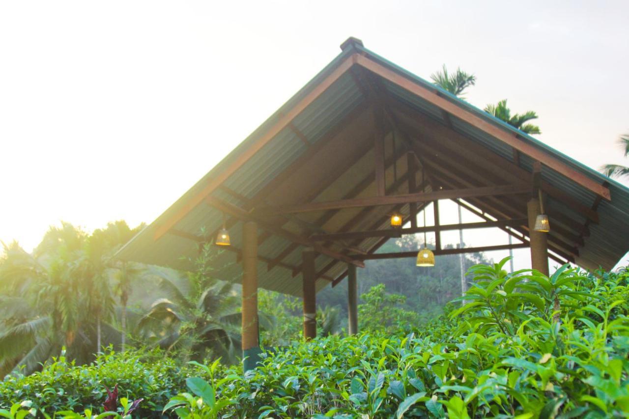 Rainforest Mount Lodge Deniyaya Exterior photo